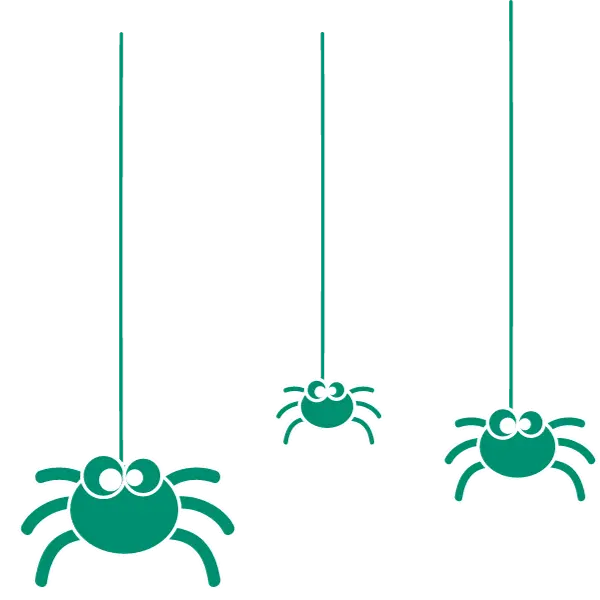 3 Cute Jumping Spiders